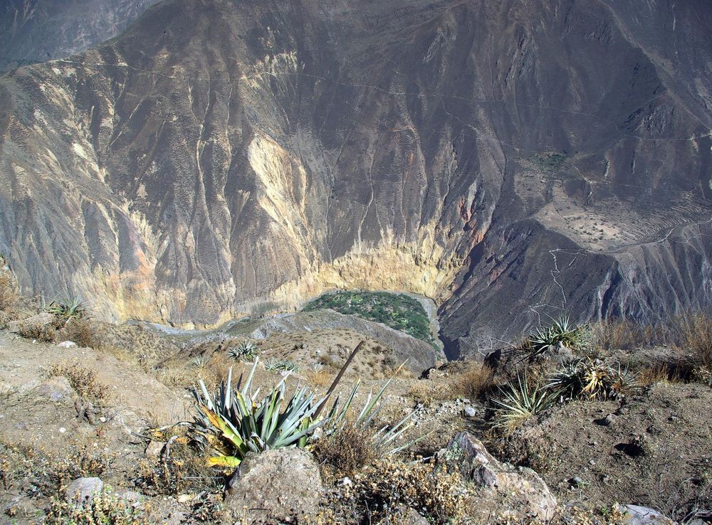 File:Colca Oasis Stevage.jpg - Wikimedia Commons