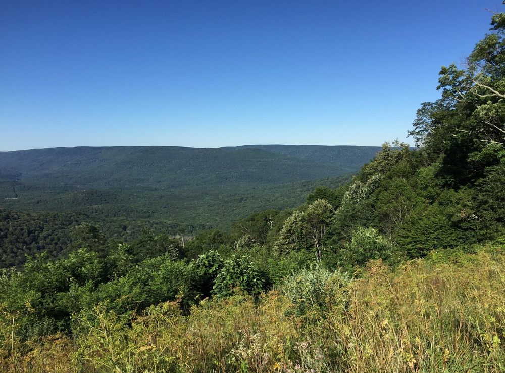 File:2017-07-30 08 59 23 View south-southwest across the upper valley of the