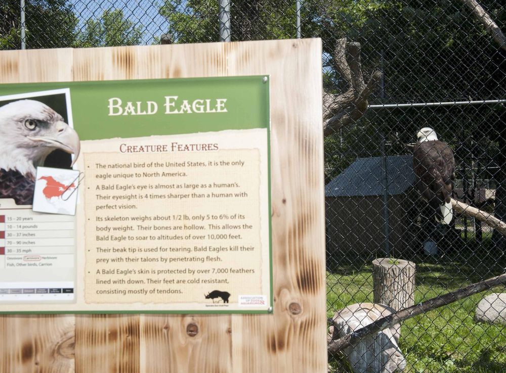 Military Appreciation Day at the zoo
