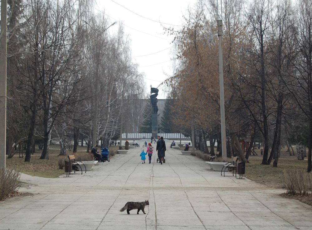 File:Chebarkul Central Park.JPG - Wikimedia Commons