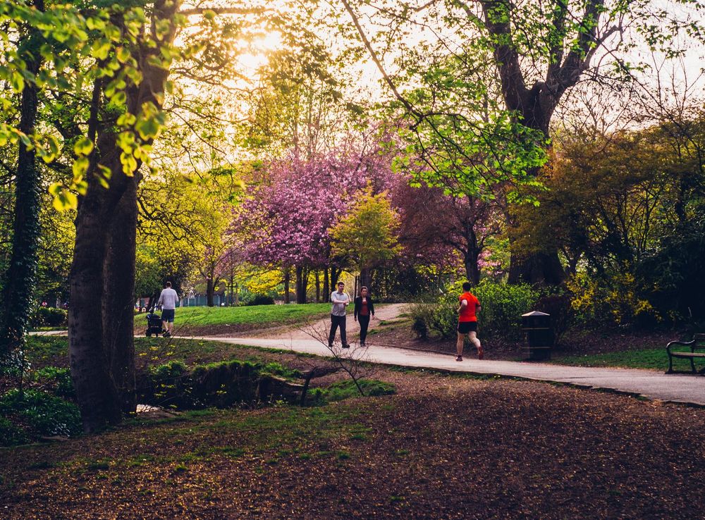 File:Endcliffe Park, Sheffield.jpg - Wikimedia Commons