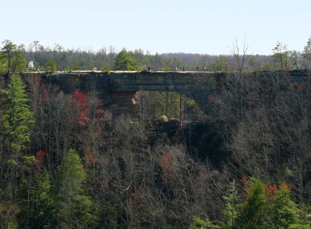 File:Natural Bridge KY-27527-3.jpg - Wikimedia Commons