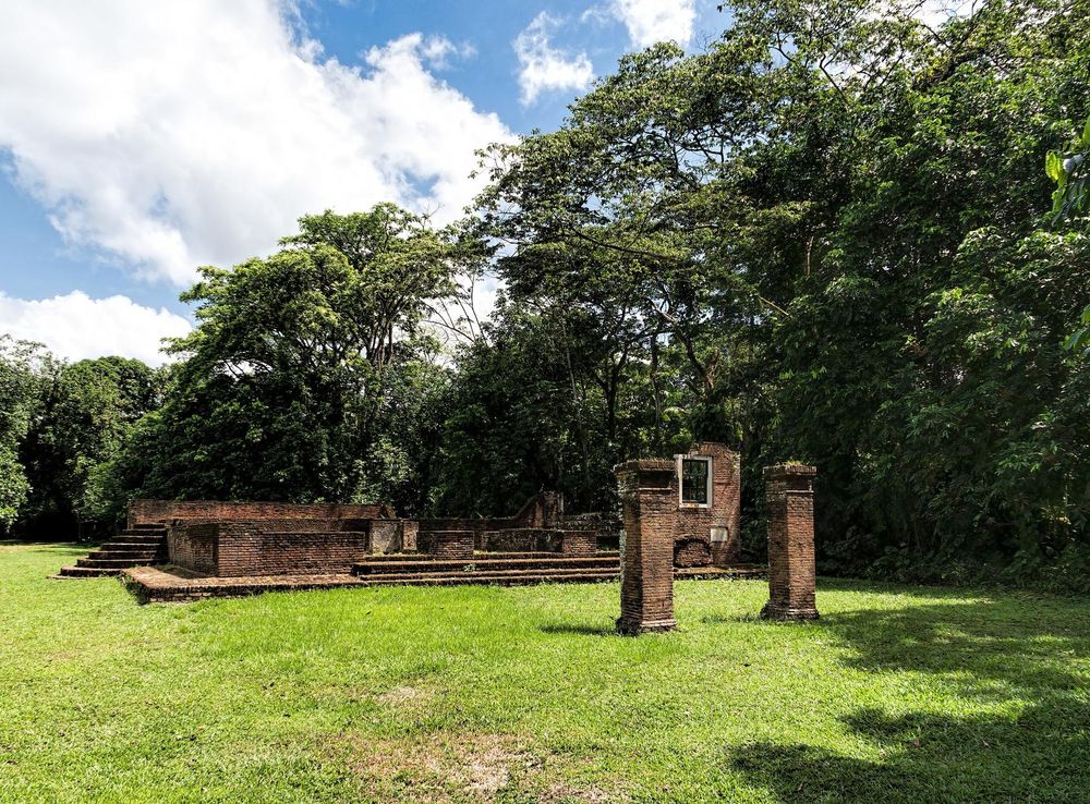 File:20191129 Suriname 0182 Jodensavanne sRGB (49295410911).jpg - Wikimedia  Commons