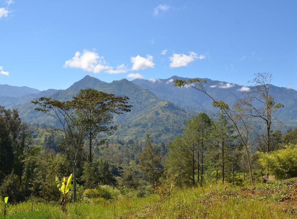 File:Papua New Guinea (5986599443).jpg - Wikipedia