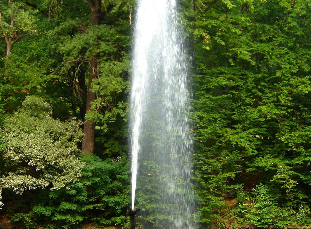 File:Fountain SNAKE in dendrological park Sofiyivka, Ukraine.JPG -  Wikimedia Commons