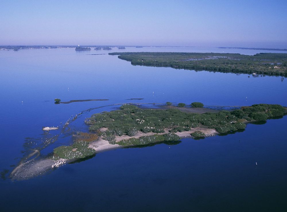 Pelican Island National Wildlife Refuge - Wikipedia