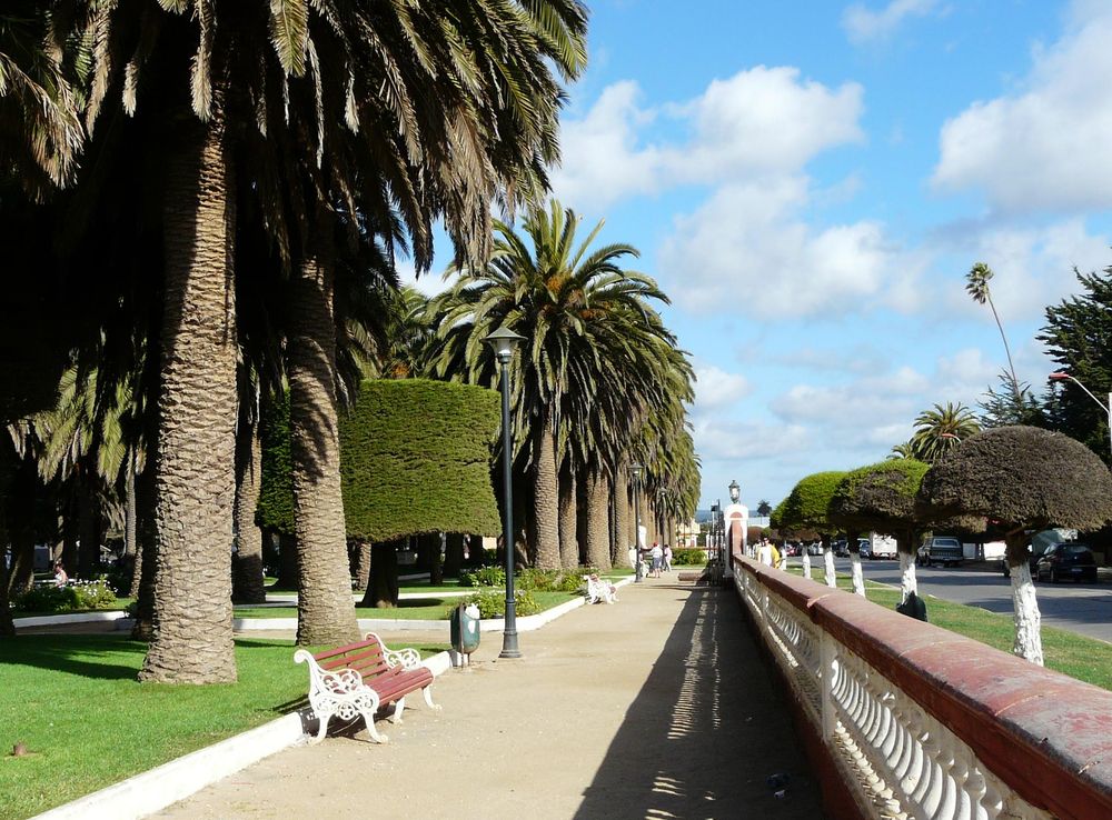File:Parque Agustín Ross - 2008 - 1.jpg - Wikimedia Commons