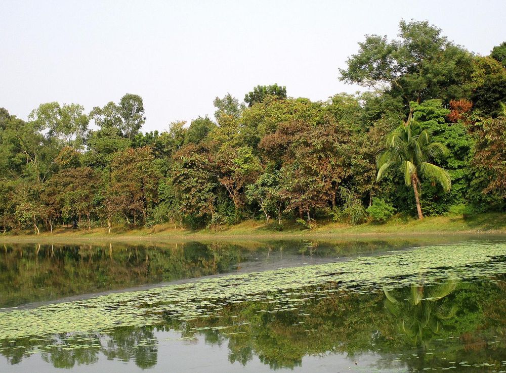 File:Ramsagar National Park.jpeg - Wikimedia Commons