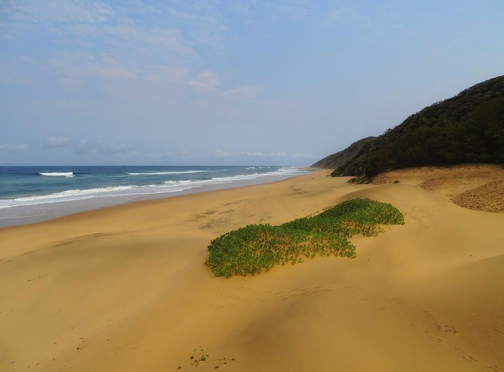 File:Cape-Vidal-Beach-2015.JPG - Wikimedia Commons