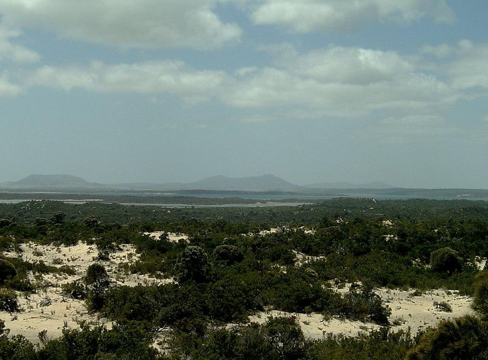 Fichier:19 Coffin Bay CP lookout 12.JPG — Wikipédia