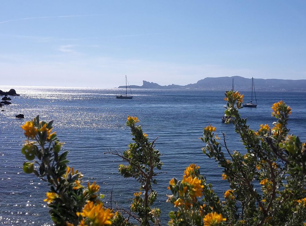Images Gratuites : plage, paysage, mer, côte, eau, océan, horizon,  Montagne, Matin, rive, fleur, Lac, crépuscule, France, baie, plan d'eau, Côte  d'Azur, Mer méditerranéenne 2048x1152 - - 1404267 - Banque d image gratuite  - PxHere