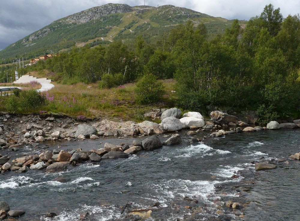 File:P1000731Hovden.JPG - Wikimedia Commons