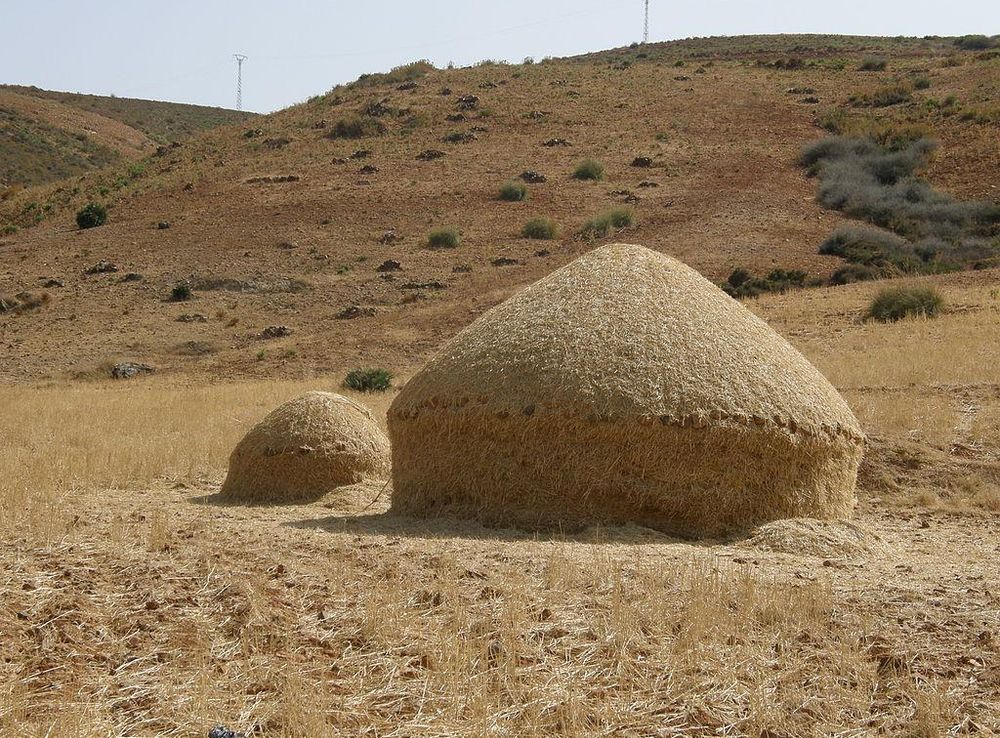 File:Almiar (1).JPG - Wikimedia Commons