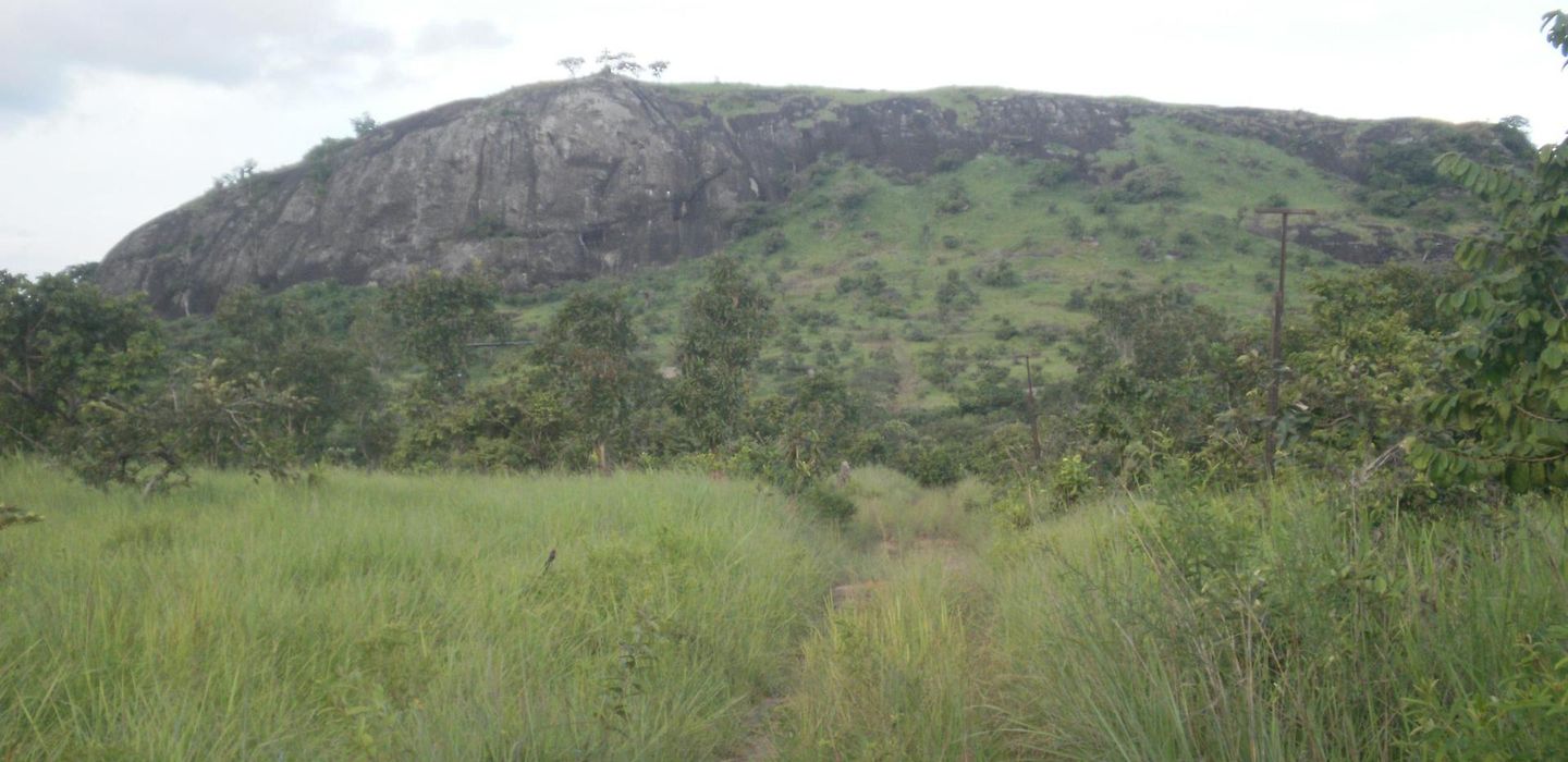 Background