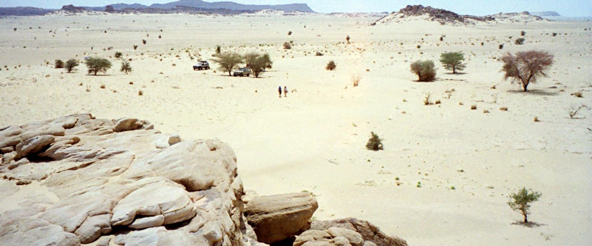 Background
