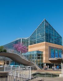 File:TN Aquarium 02.jpg - Wikimedia Commons