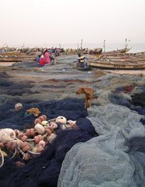 File:Port de peche Nouakchott.jpg ...