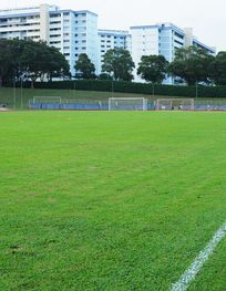 File:Woodlands Stadium Pitch.JPG ...