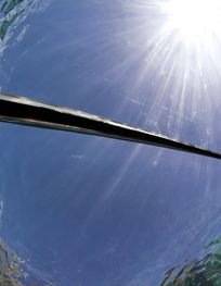 File:Snell's window, St. Louis Zoo.jpg ...