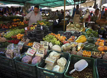 Campo de' Fiori