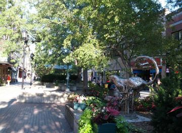 Downtown Ithaca