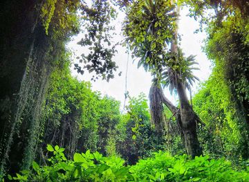 Musanze Caves