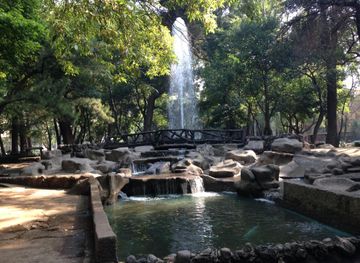 Condesa