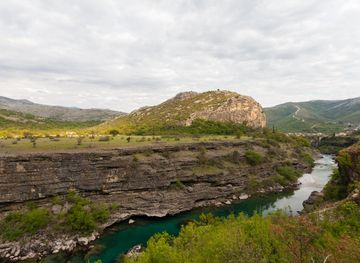 Kuči
