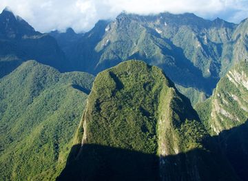 Amazon Jungle