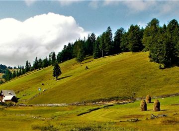 Bihor Mountains