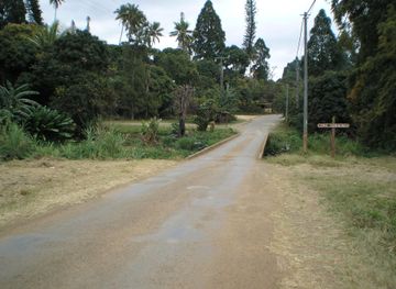 Kouaoua