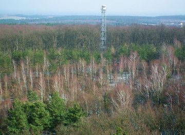 Morgan-Monroe State Forest