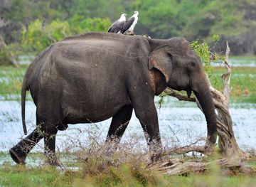 Ampara District