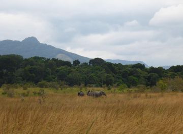 Lope National Park Area