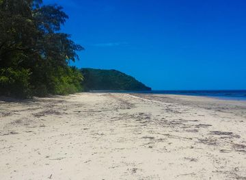 Cape Tribulation