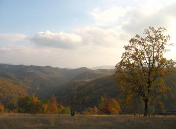 Kolubara