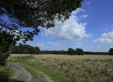 Utrechtse Heuvelrug
