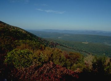 Dolly Sods Wilderness