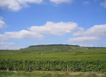 Cote des Blancs