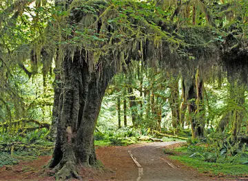 Olympic National Park
