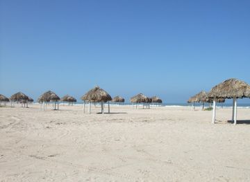Tamaulipas Coast