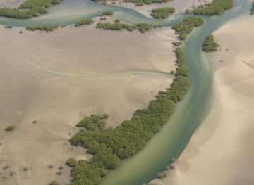 Sine-Saloum Delta
