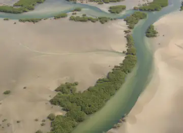 Sine-Saloum Delta