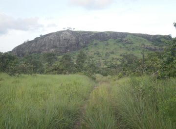 Ngog Lituba