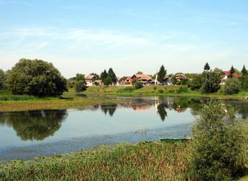 Posavina