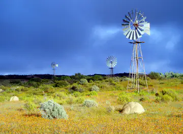 Namaqualand