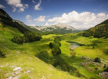 Foča Region