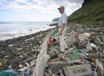 File:Niihau-Trash-Beach.jpg - Wikimedia Commons