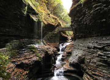 Watkins Glen