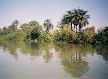 Janjanbureh Island